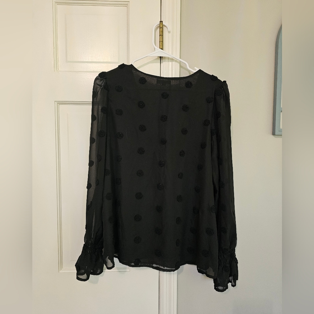 Blu Pepper Black Sheer Blouse with Polka Dots - Picture 4 of 5